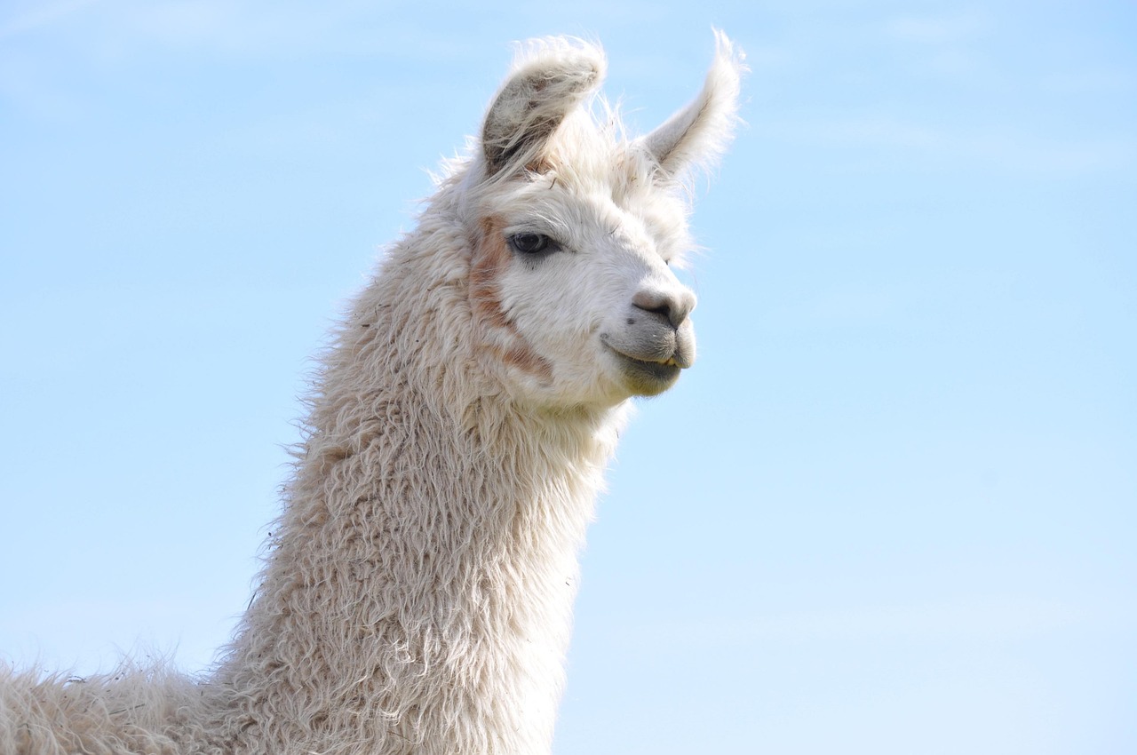 在线DDOS攻击平台|北京企业登记e窗通app详情下载教程