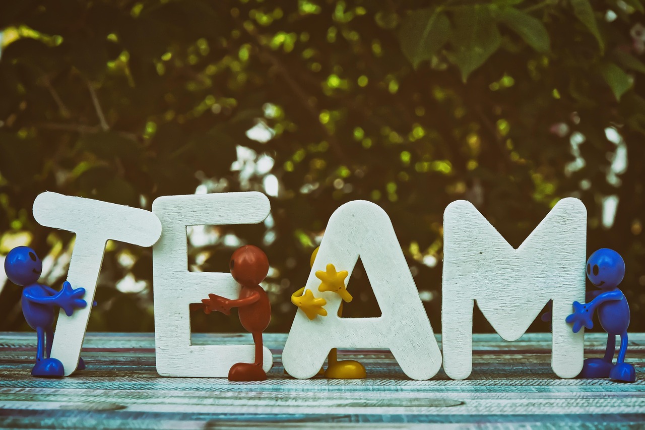 DDOS网页端源码|花卉购买平台推荐